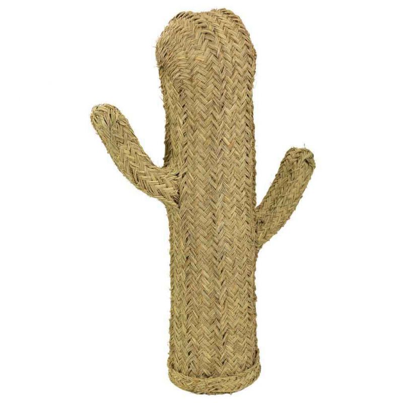 cactus de esparto